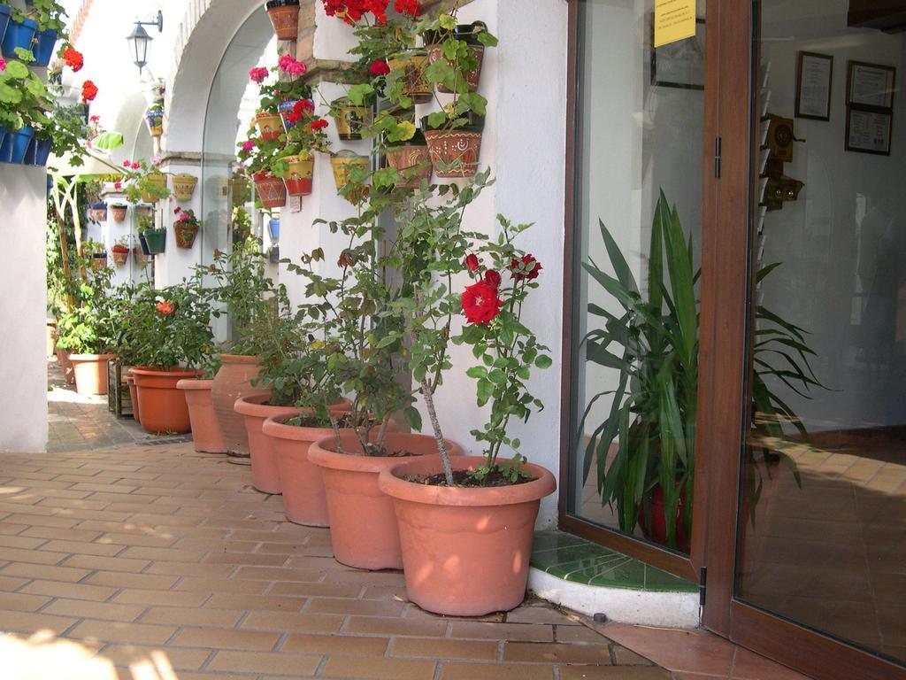 Hotel Cortijo Los Gallos Chiclana de la Frontera Exteriör bild